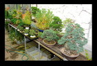 Dsc01213_________________