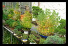 Dsc01215_________________