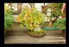 Dsc01218_________________