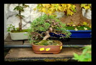 Dsc01225_________________